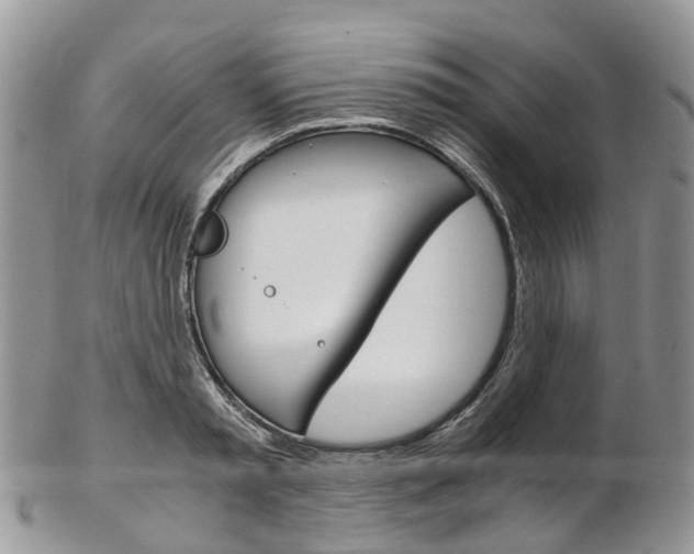 X0000103140797200808221103