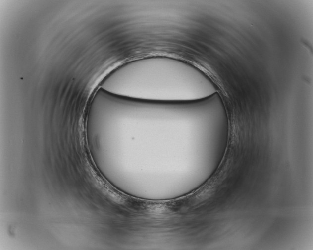 X0000103140798200808221103