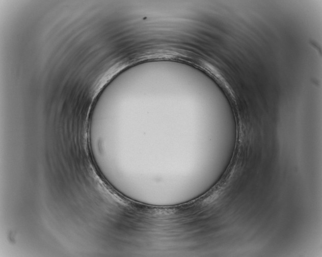 X0000103140802200808221103