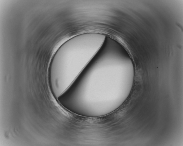 X0000103140803200808221103