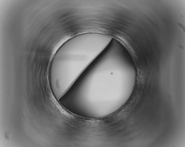 X0000103140804200808221103