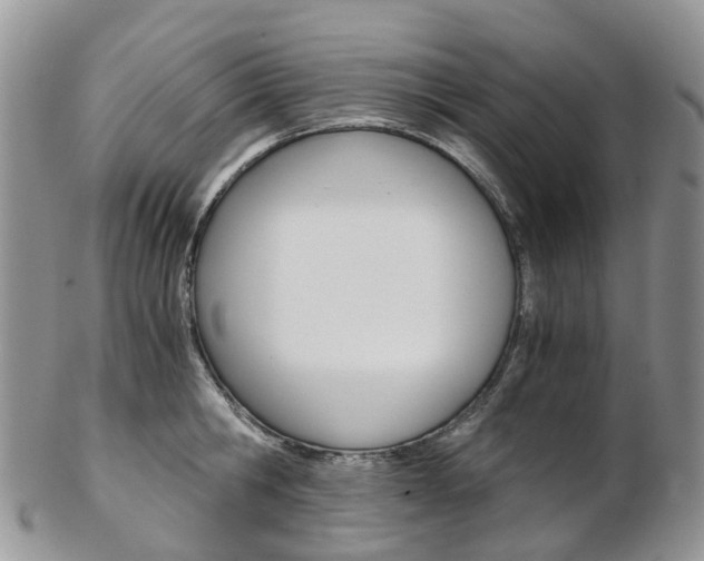 X0000103140806200808221103