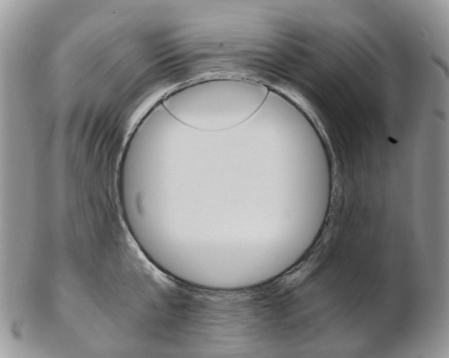 X0000103140807200808221103