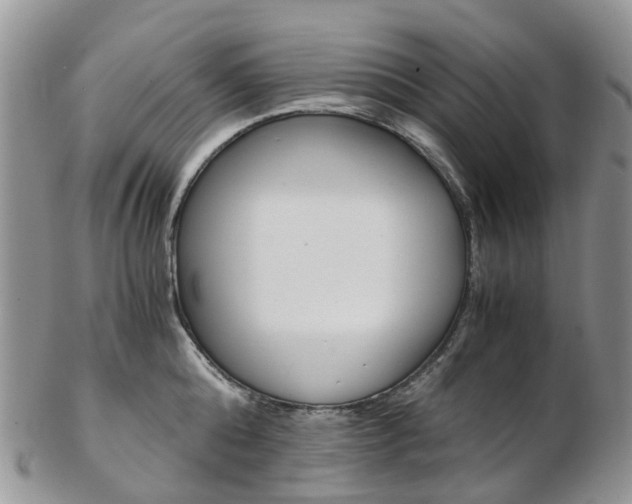 X0000103140808200808221103