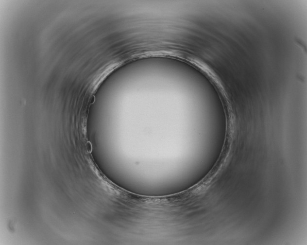 X0000103140809200808221103