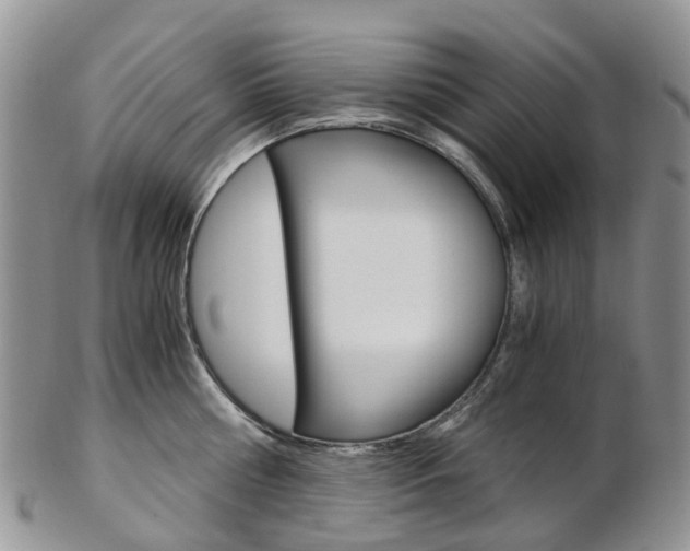 X0000103140810200808221103