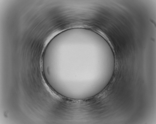 X0000103140811200808221103
