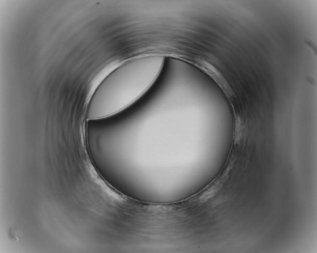 X0000103140812200808221103