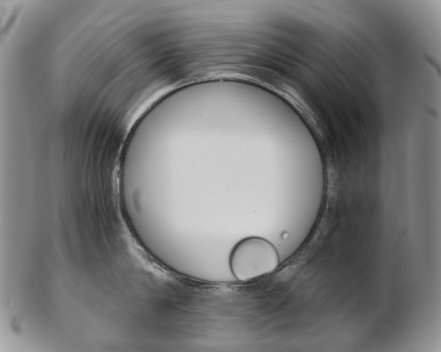 X0000103140814200808221103
