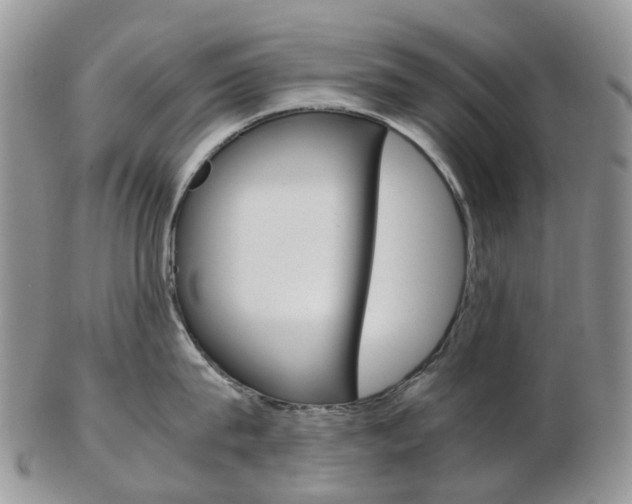 X0000103140815200808221103