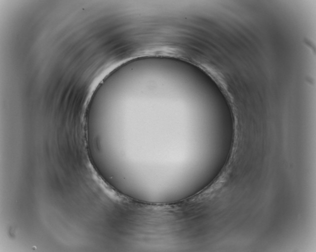 X0000103140816200808221103