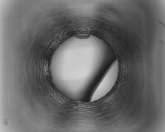 X0000103140818200808221102