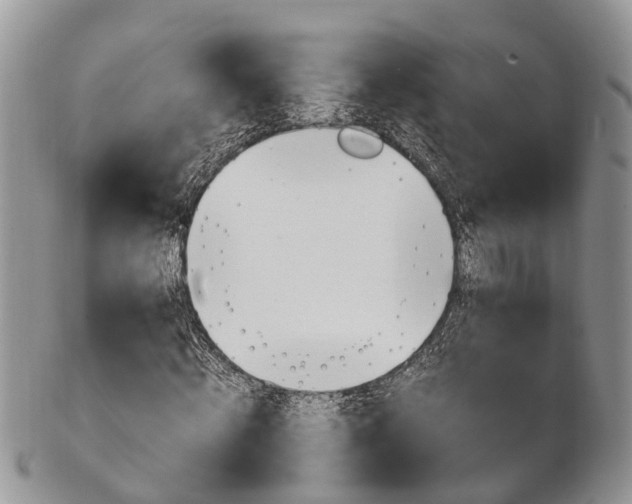 X0000103140820200808221102