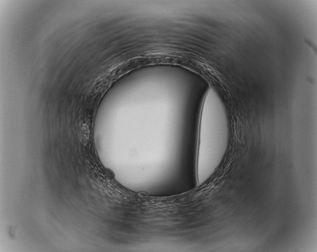 X0000103140821200808221102