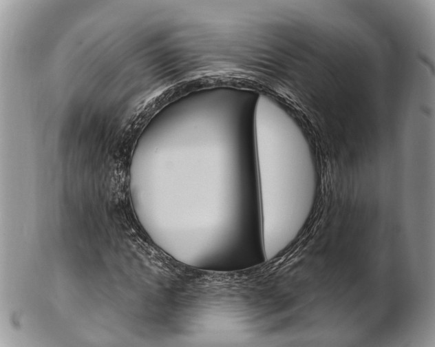 X0000103140822200808221102