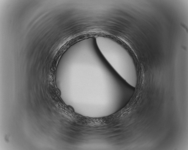 X0000103140823200808221102