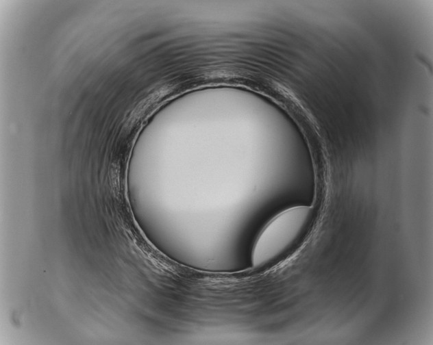 X0000103140825200808221102