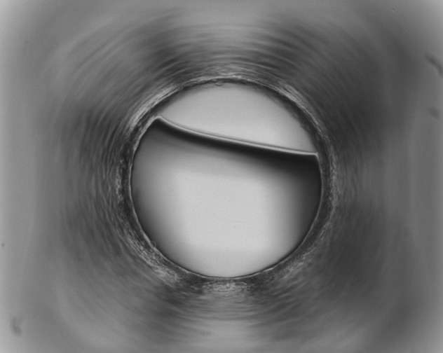 X0000103140826200808221102