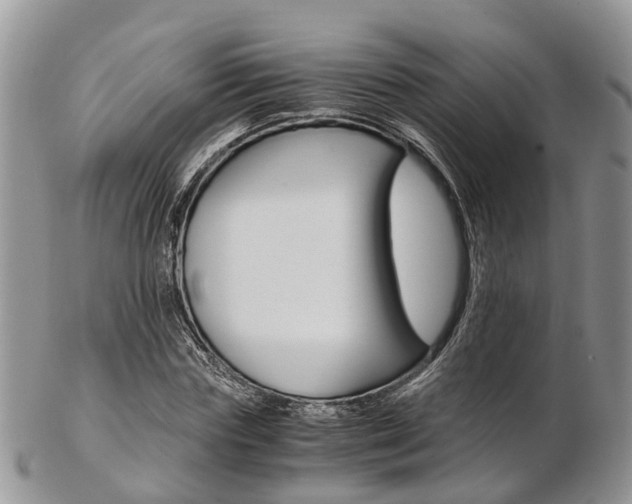 X0000103140827200808221102