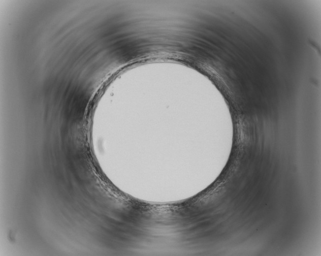 X0000103140828200808221102