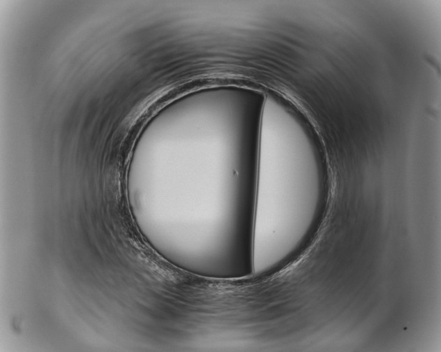 X0000103140829200808221102