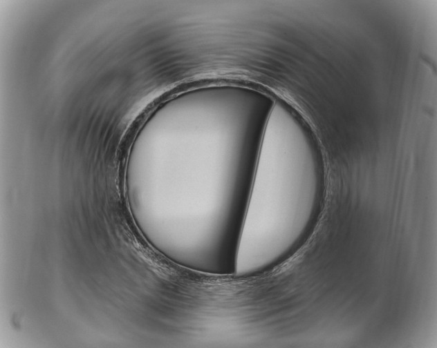 X0000103140830200808221102
