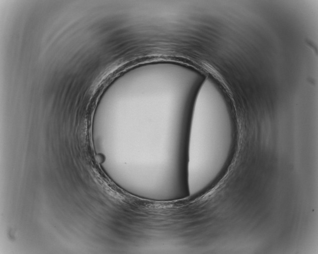 X0000103140831200808221102