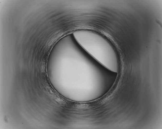 X0000103140833200808221102