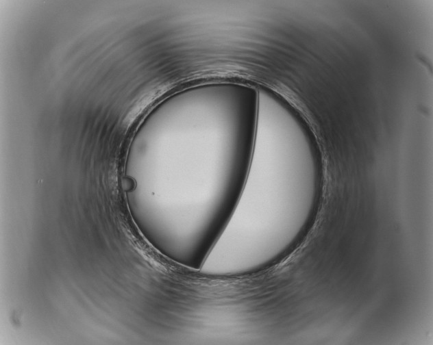 X0000103140834200808221102