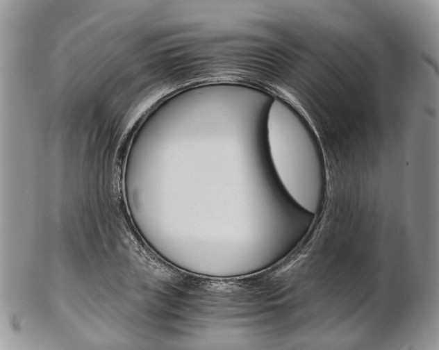 X0000103140835200808221102