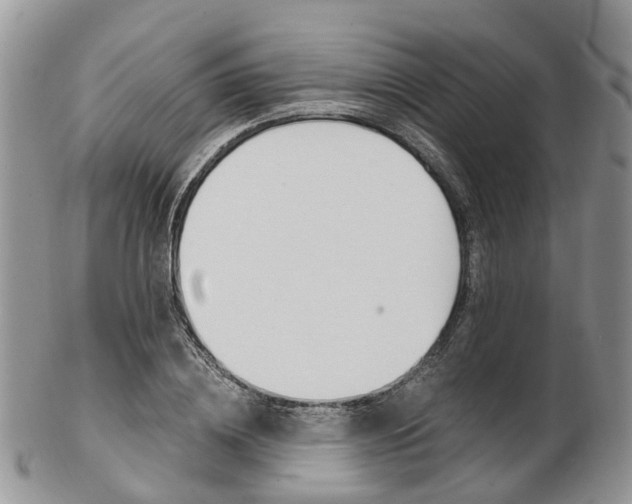 X0000103140836200808221102