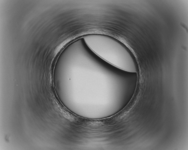 X0000103140837200808221102