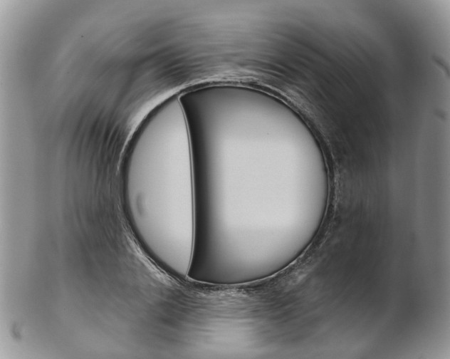 X0000103140838200808221102