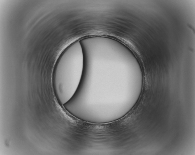 X0000103140839200808221102