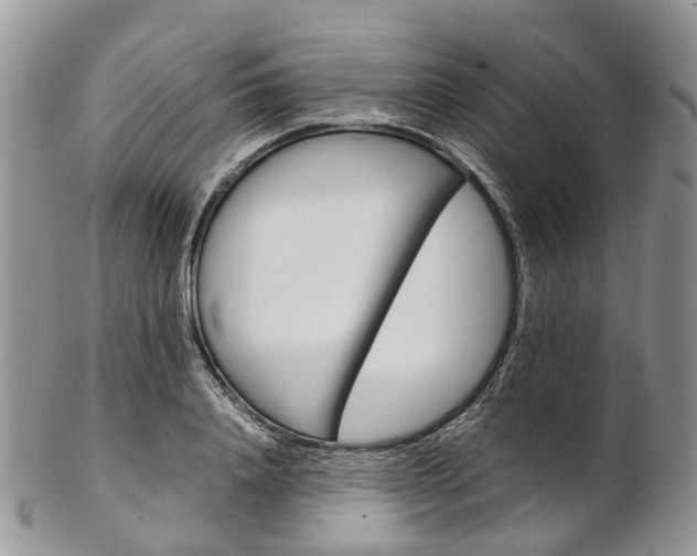 X0000103140840200808221102