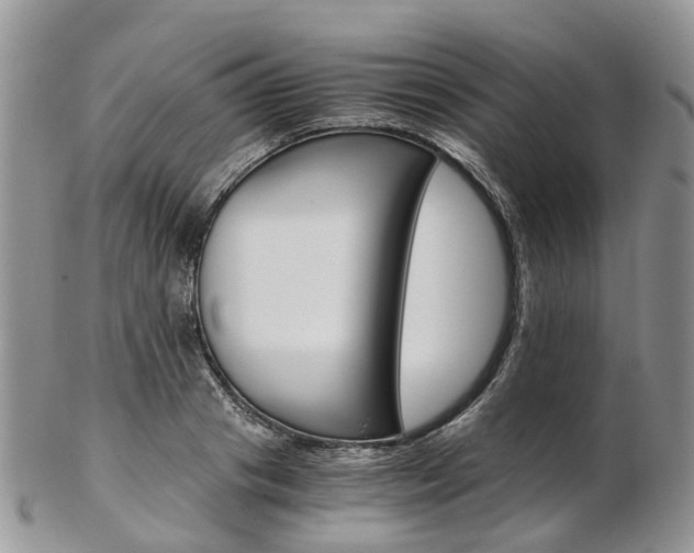 X0000103140841200808221102