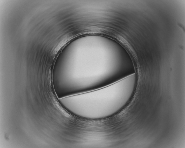 X0000103140842200808221102