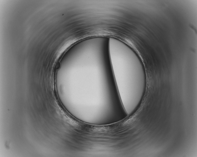 X0000103140843200808221102