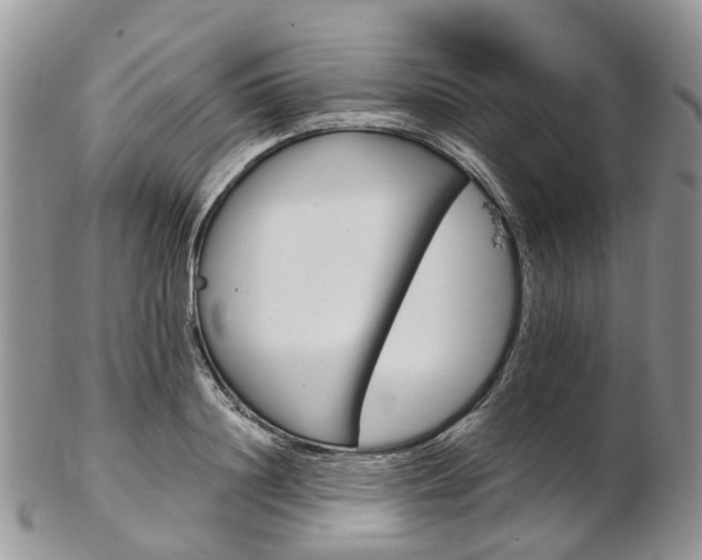 X0000103140844200808221102