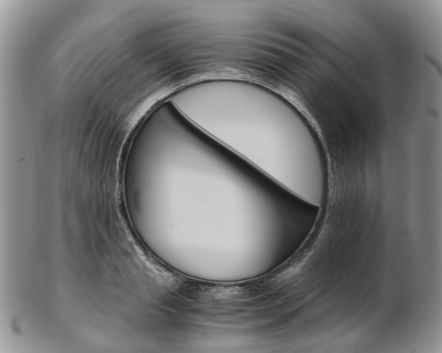 X0000103140845200808221103