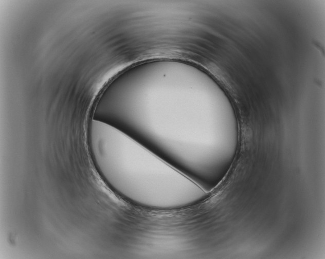X0000103140846200808221103