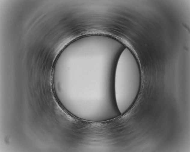 X0000103140847200808221103