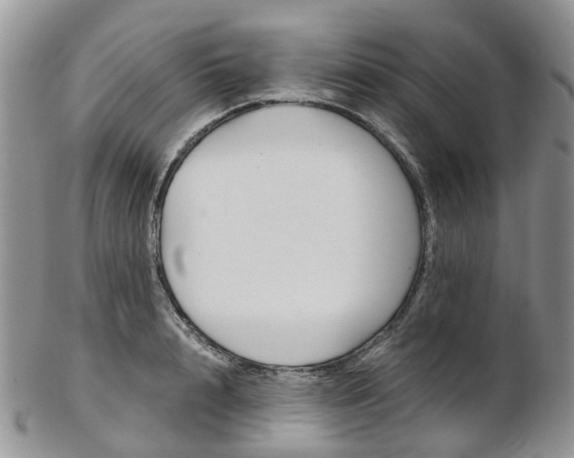 X0000103140848200808221103