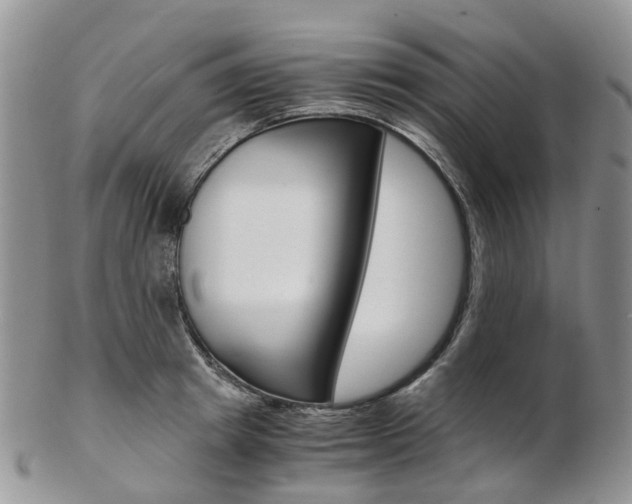 X0000103140849200808221103