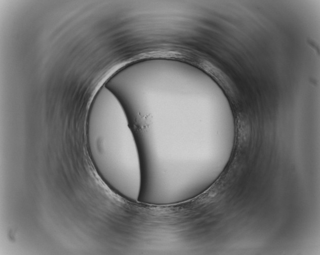X0000103140852200808221103
