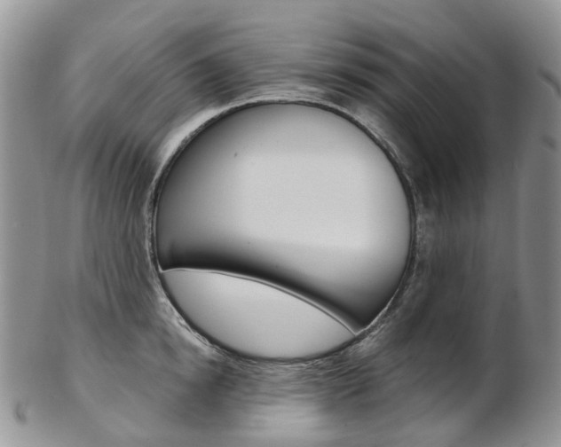 X0000103140854200808221103