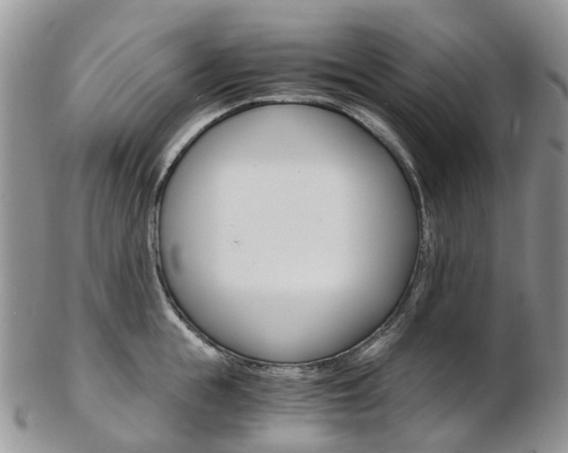 X0000103140855200808221103