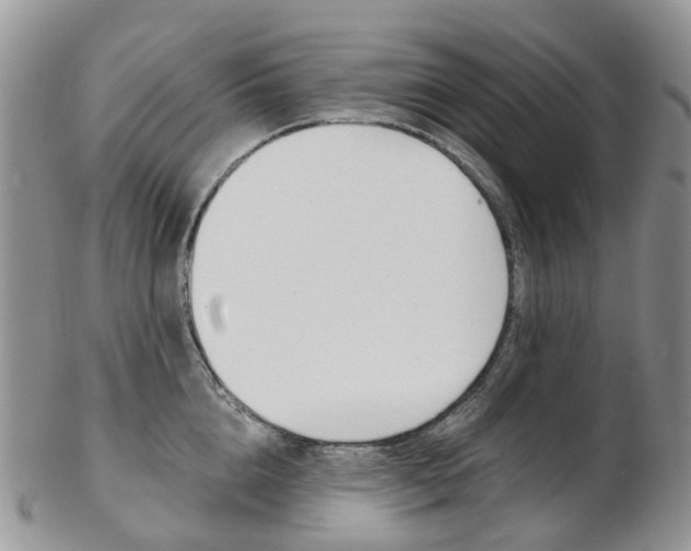 X0000103140856200808221103