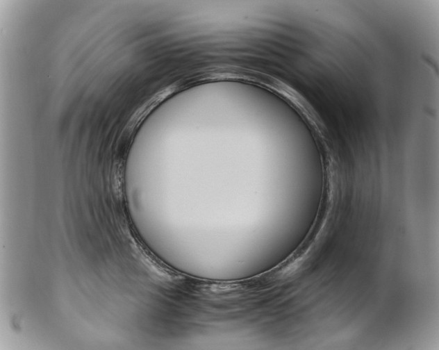 X0000103140857200808221103