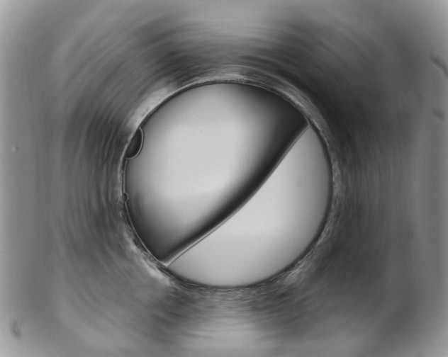 X0000103140858200808221103
